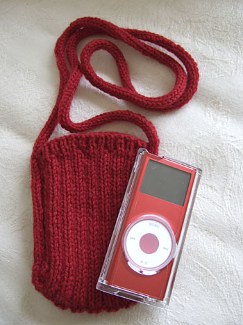 iPod case
